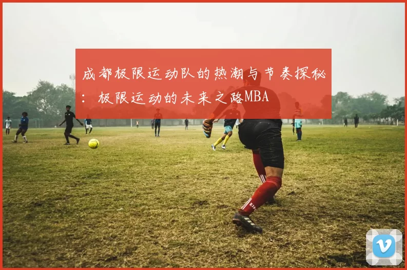 成都极限运动队的热潮与节奏探秘：极限运动的未来之路MBA