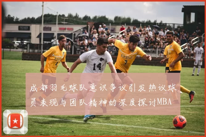 成都羽毛球队意识争议引发热议球员表现与团队精神的深度探讨MBA