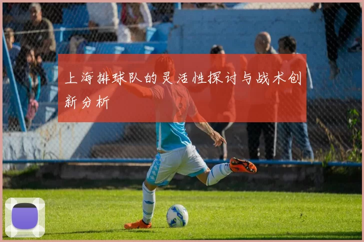 上海排球队的灵活性探讨与战术创新分析