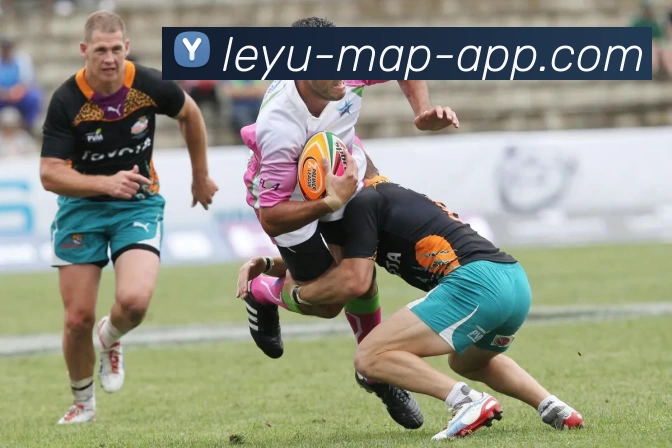 App Interface Preview